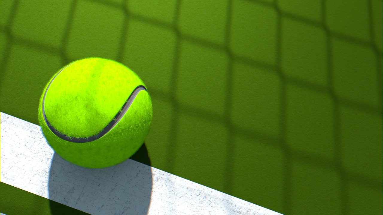 Davis Cup finale 2017: kans voor de Belgen?